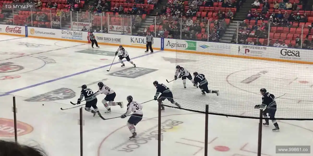 🏋️ 专业品质，助力每一次突破！💪